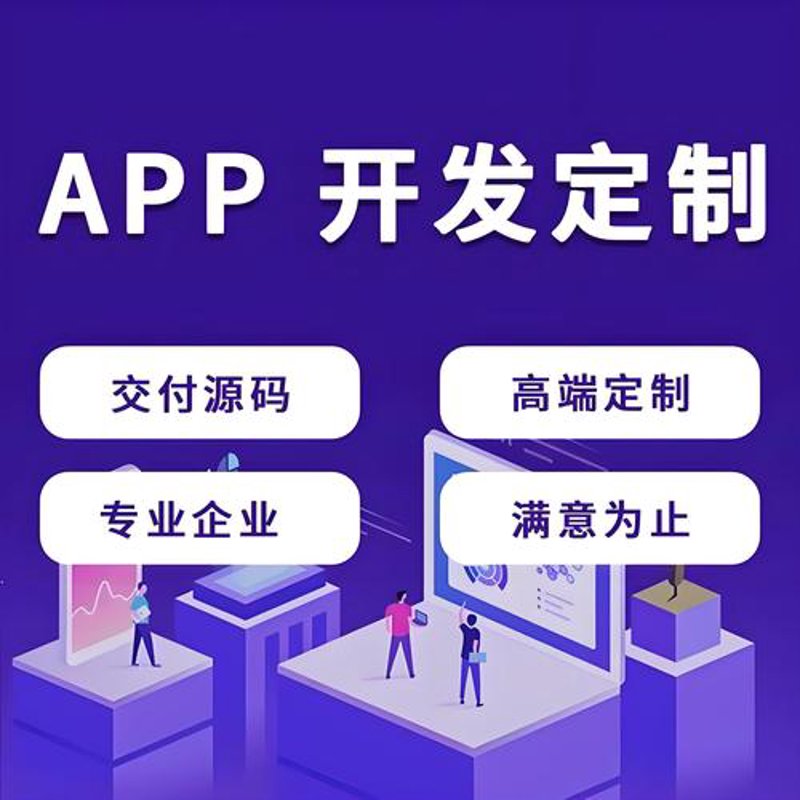 上海软件开发：构建未来城市的数字脉络