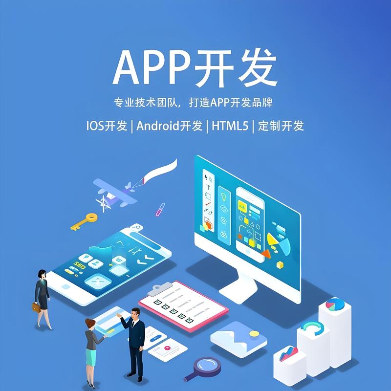 系统定制：企业信息化的创新引擎