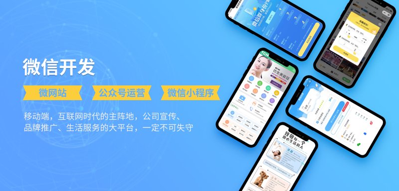 上海软件开发：构建未来城市的数字脉络